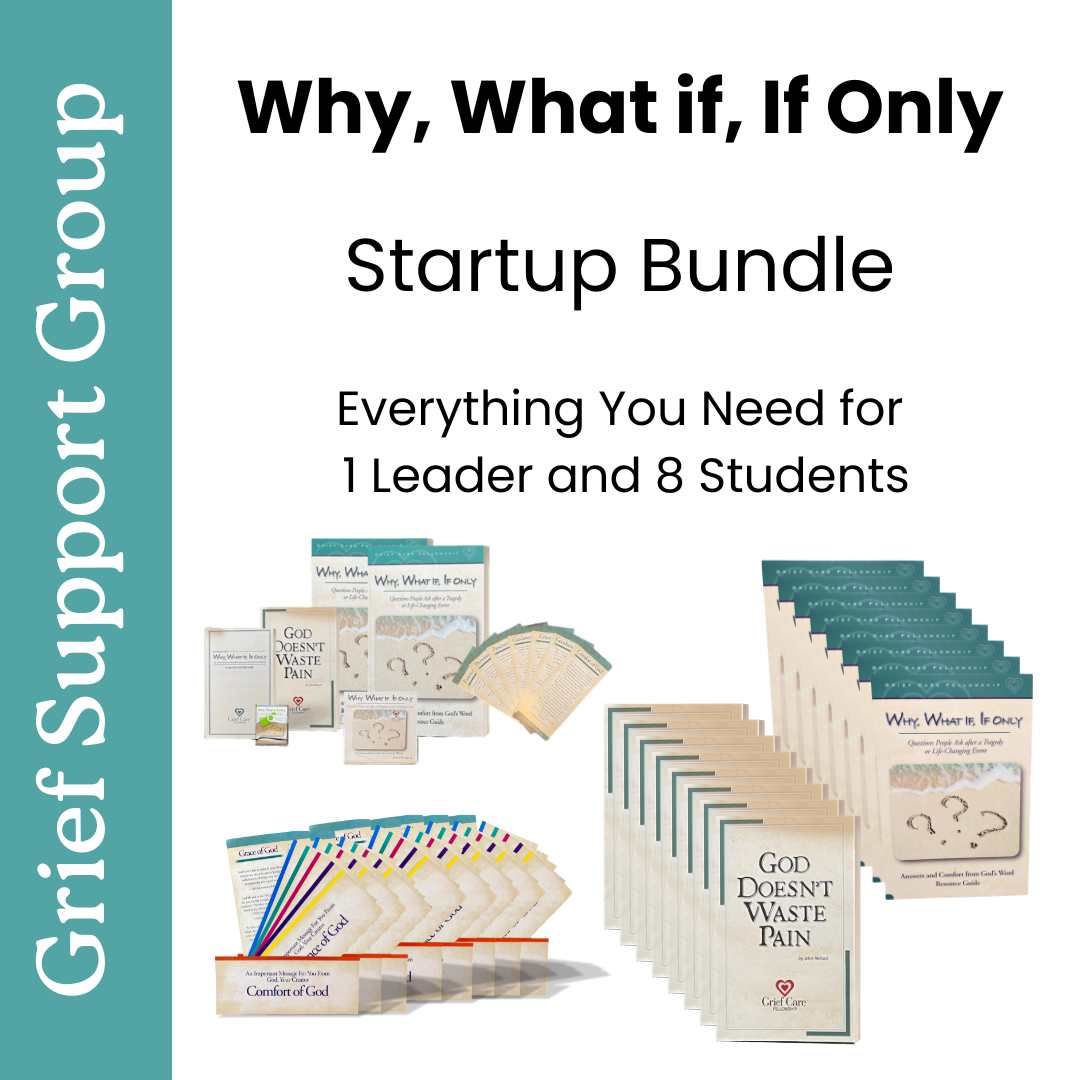 Why, What if, If Only Startup Bundle